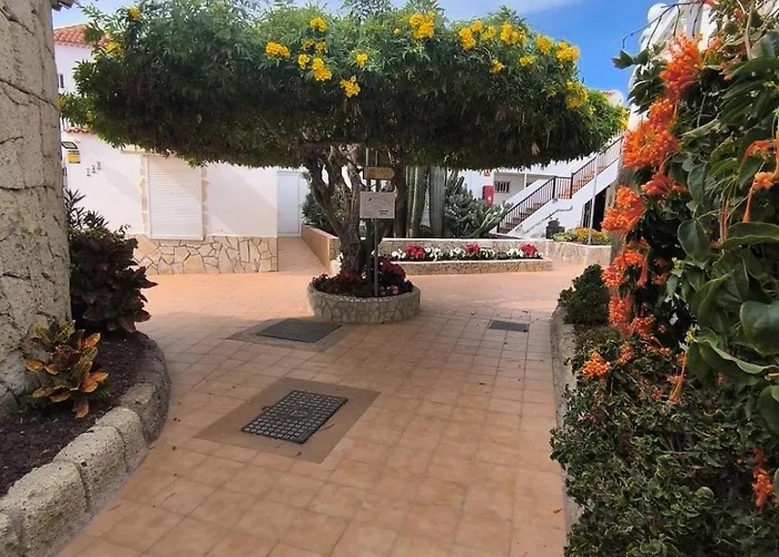 Paraíso Royal * Playa de las Américas